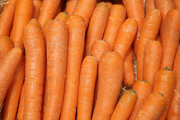 Министерство сельского хозяйства: на сегодняшний день цены на морковь в .