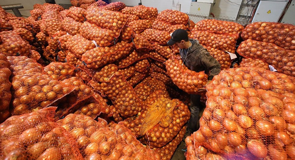 На рынках Узбекистана значительно подорожал лук 