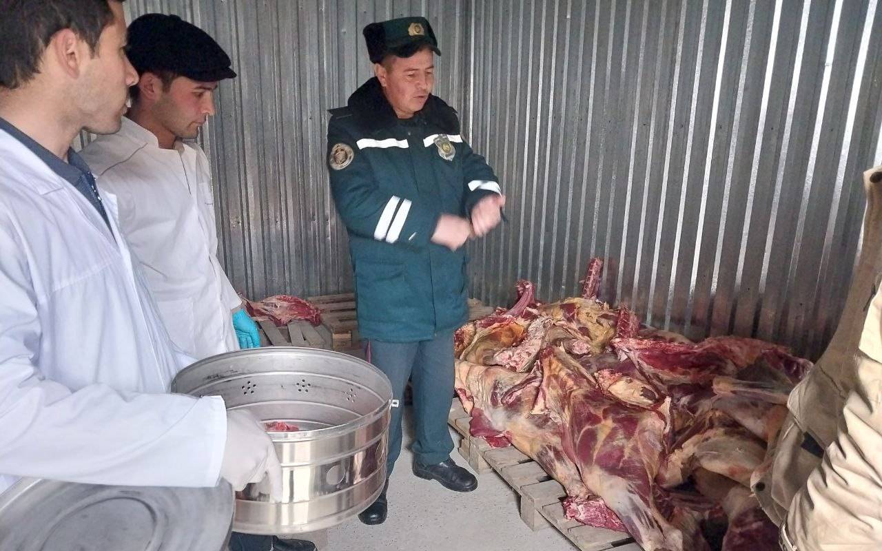 В Ташкент пытались провезти 2,5 тонны непонятного мяса