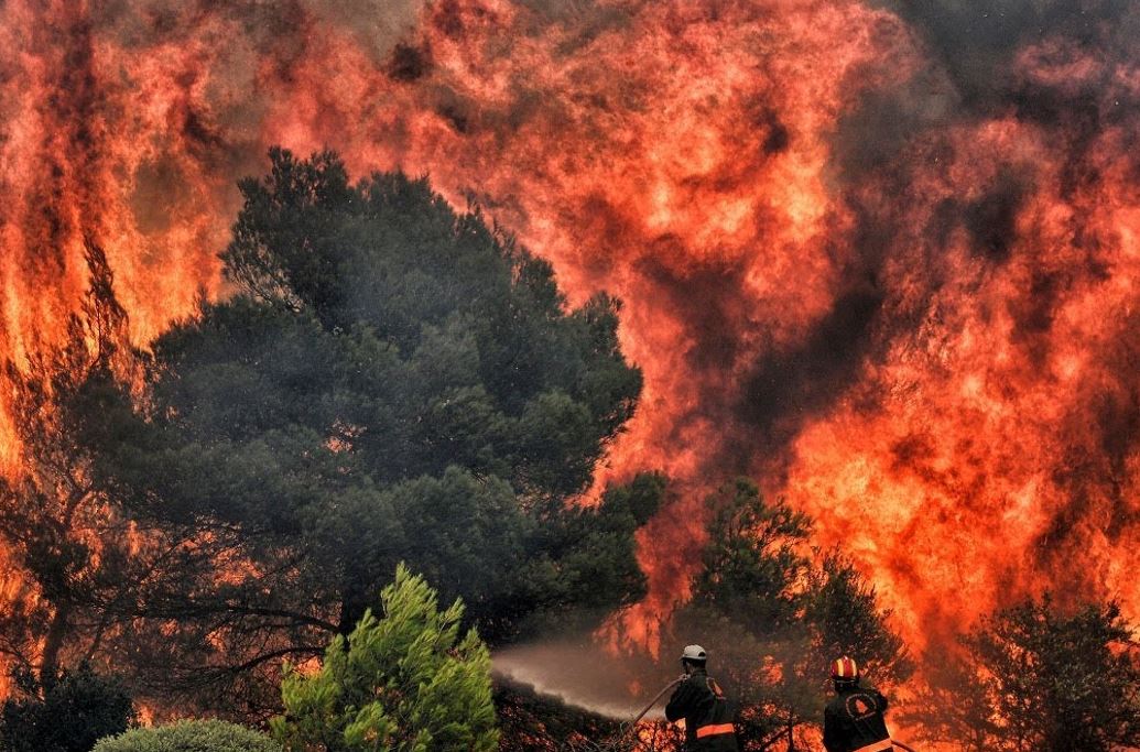 Лесные пожары в Греции унесли жизни более 20 мигрантов (видео)