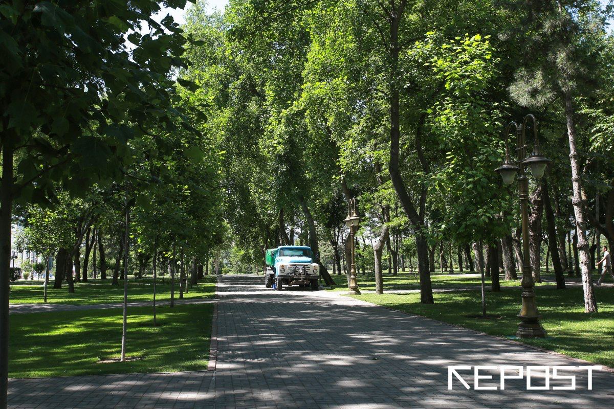 В Узбекистане предложили запретить сносить парки для застройки
