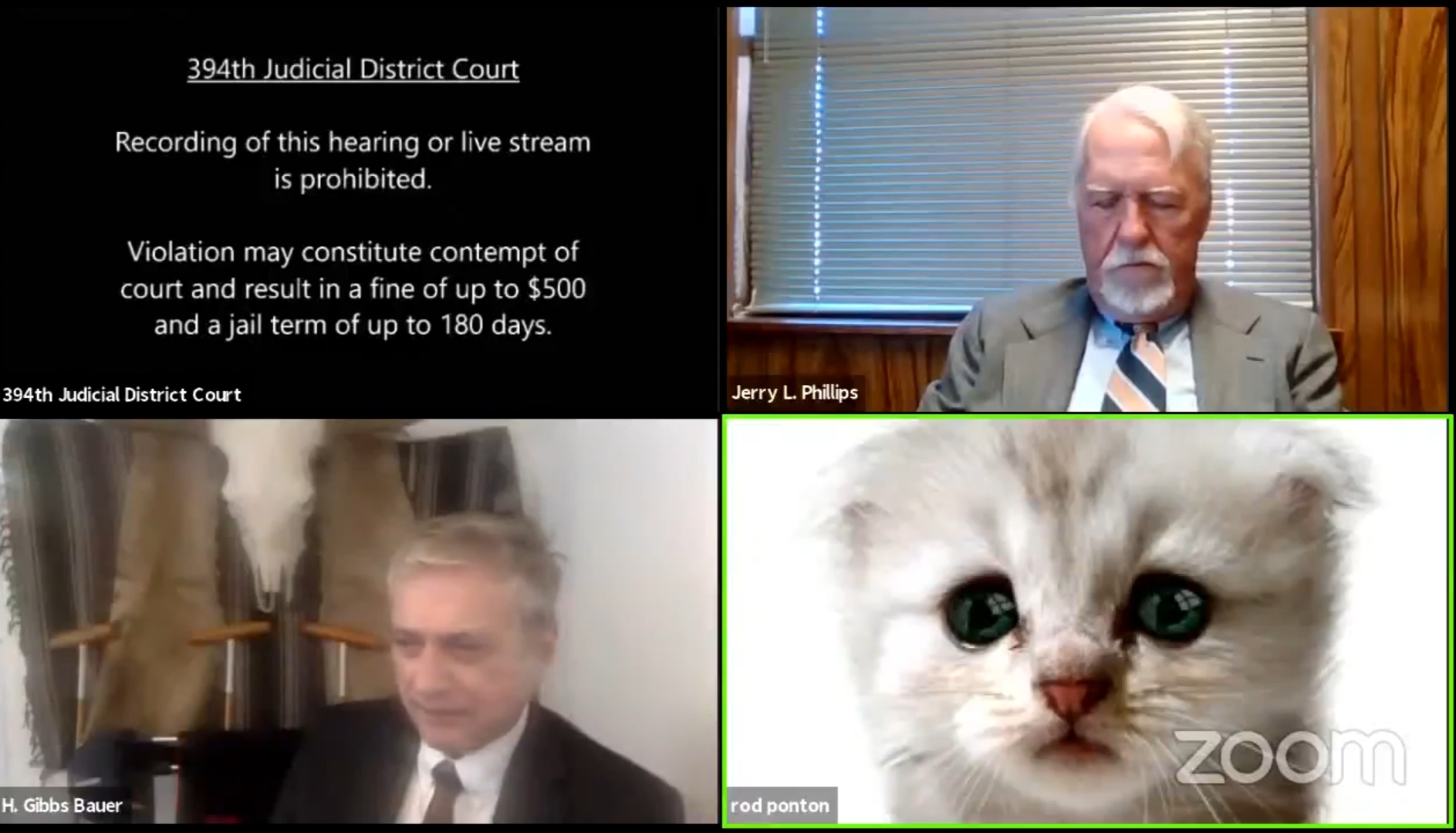 Техасский прокурор провел судебное заседание по Zoom с фильтром кота