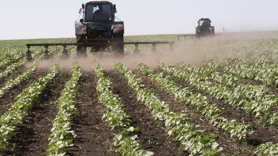 Россия выделит узбекским предпринимателям земли для выращивания ряда сельхозкультур с последующим вывозом урожая в Узбекистан