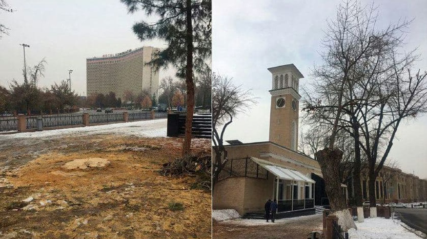 В центре Ташкента вырубили деревья