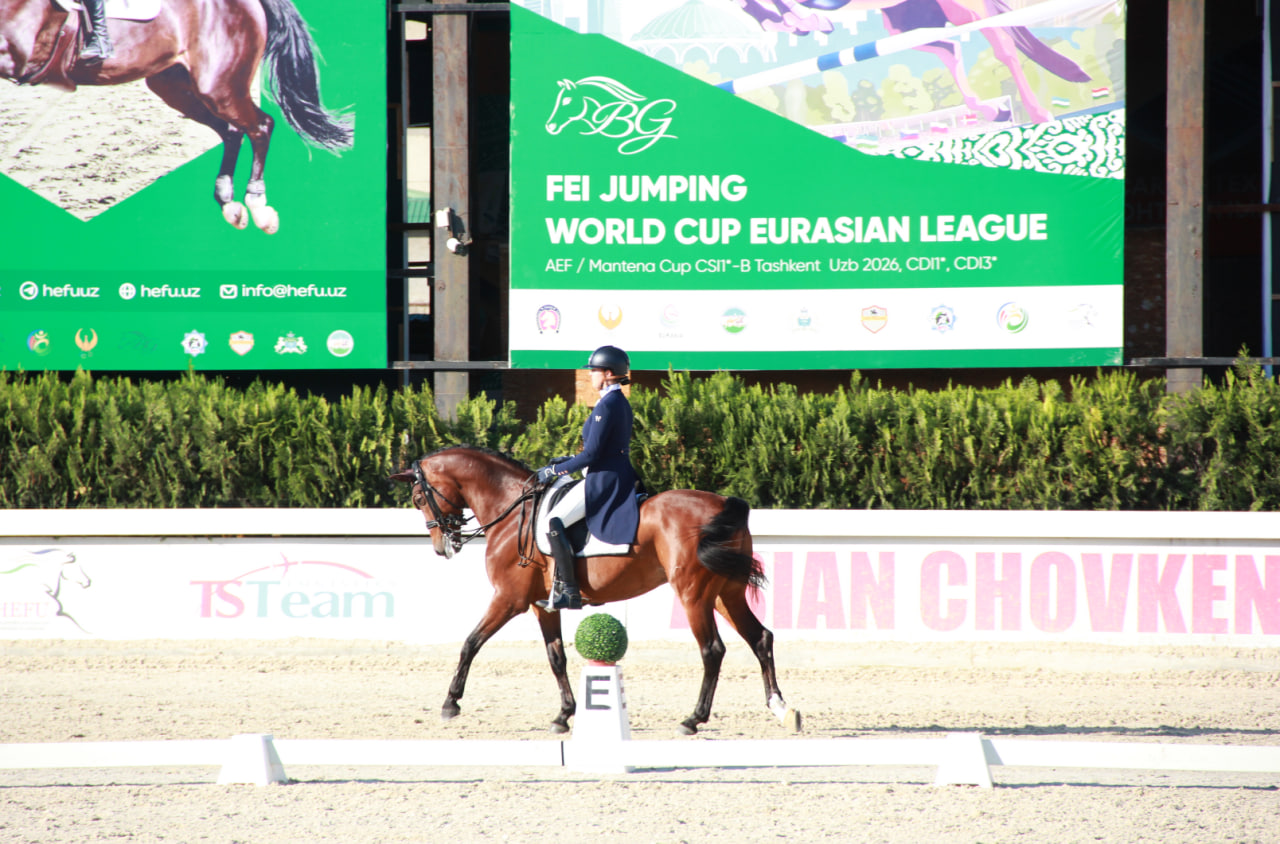 Фото: Федерация коневодства и конного спорта