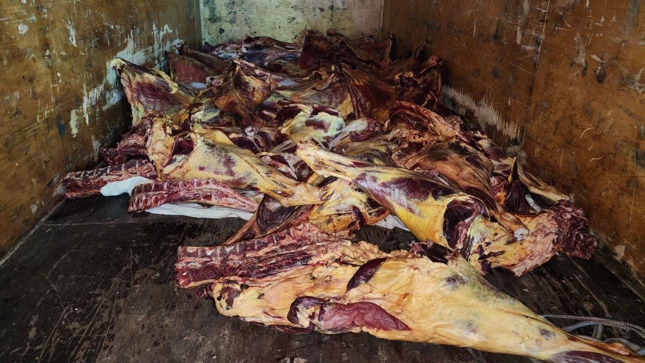 Из Самарканда в Ташкент хотели провезти почти тонну испорченного мяса