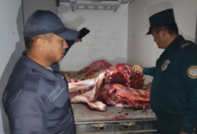 В Ташкент снова пытались провезти сотни килограммов испорченного мяса