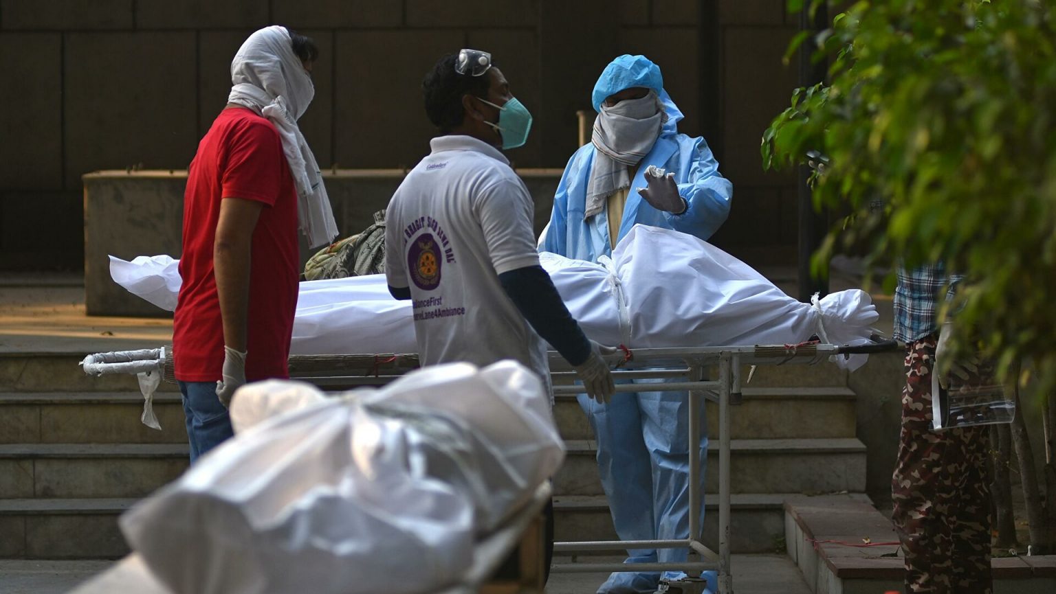 «Второй год пандемии может привести к большему числу смертей, чем первый» – глава ВОЗ