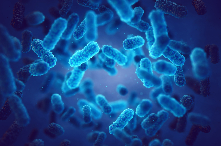 Ученые раскрыли фермент, который разрушает бактерии – новую альтернативу антибиотикам