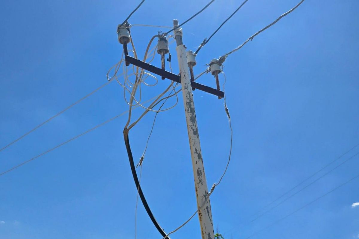 Самаркандская область - последние новости от команды Repost.uz