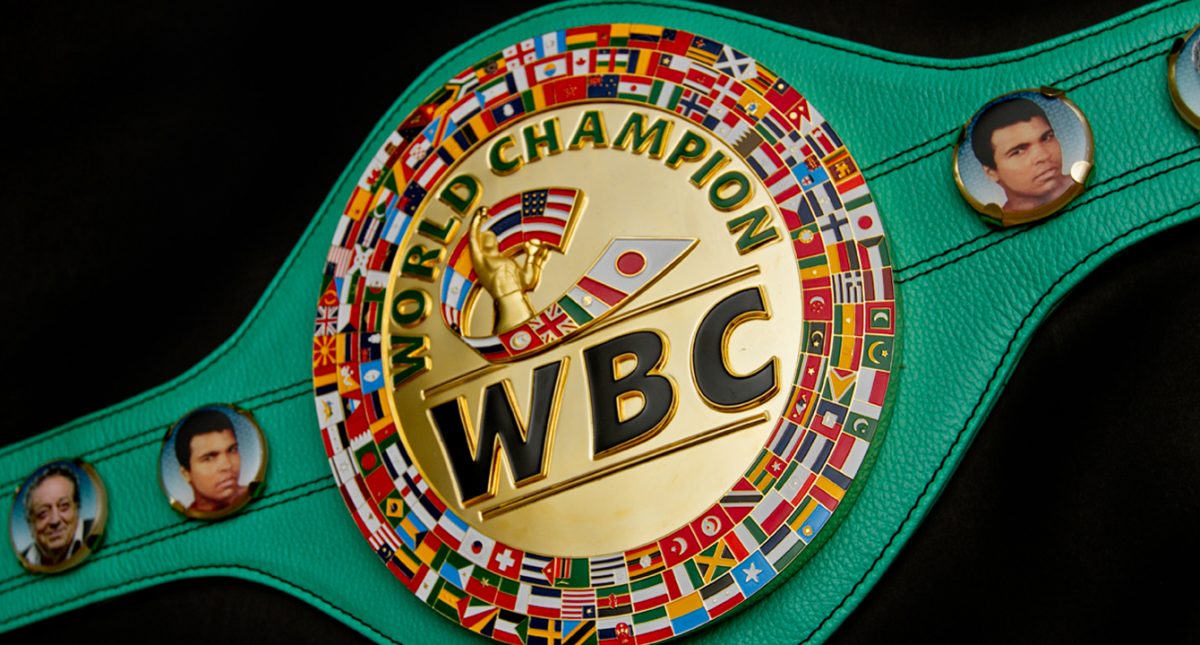 Обновленный рейтинг WBC: на каких местах узбекистанские боксеры