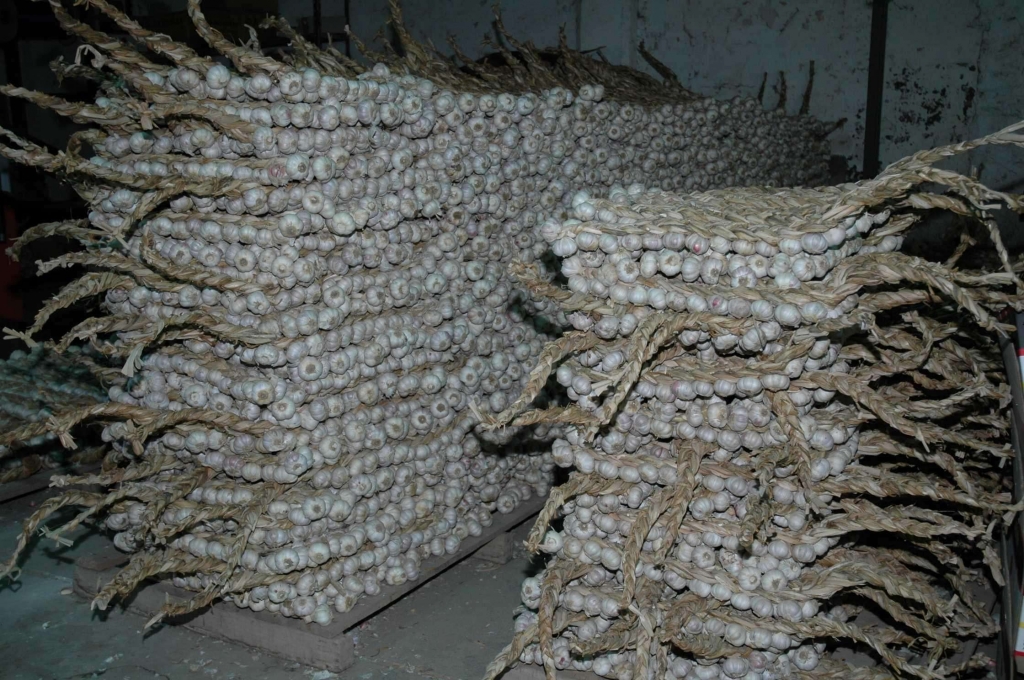 В Сурхандарье задержали мужчину, укравшего свыше 10 тонн чеснока