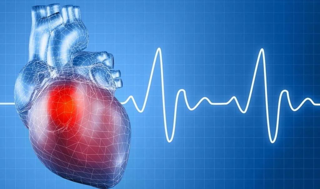 Нейросеть научили узнавать людей по их сердцебиению