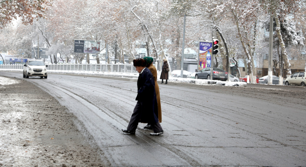 В Узбекистане в преддверии нового года ожидаются заморозки 
