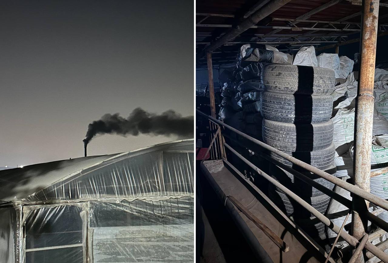 В Узбекистане будут жестче наказывать за экологические правонарушения