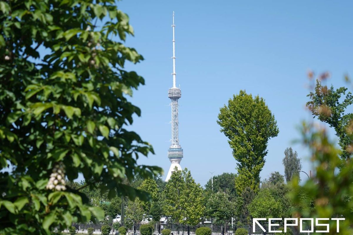 Прогноз погоды - последние новости от команды Repost.uz
