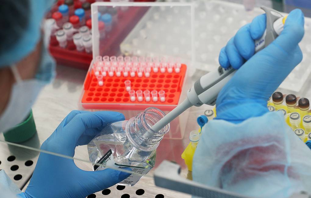 В Узбекистане запустили массовое производство тест-систем на выявление коронавируса