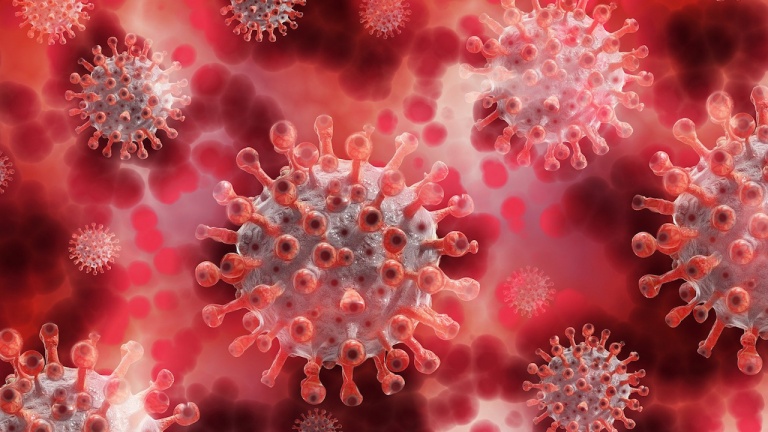 Объяснена главная загадка коронавируса