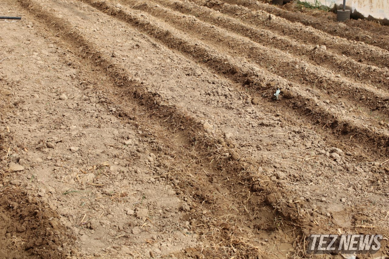Узбекистан ежегодно теряет $830 млн из-за деградированных земель