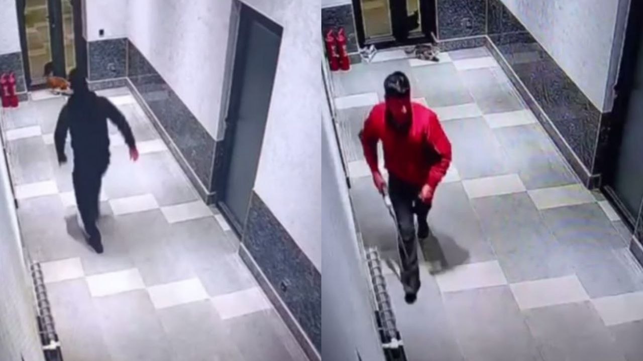 В ГУВД Ташобласти прокомментировали жестокое убийство кошек
