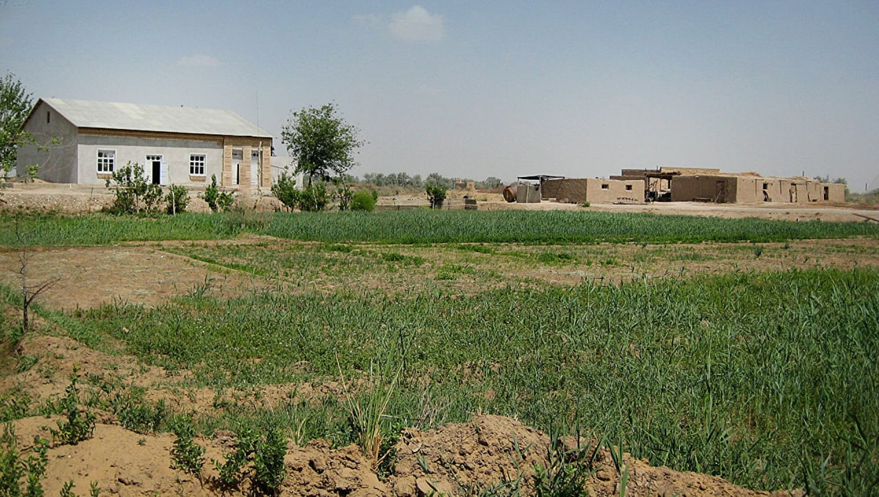 Ответственность за самовольный захват земель в Узбекистане будет усилена<br>