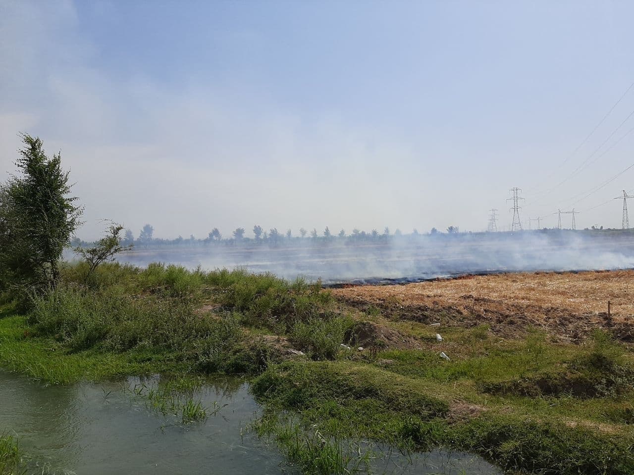 В Ташобласти сгорели 129 гектаров сенного поля. Нанесенный ущерб природе оценили в 113 миллионов сумов