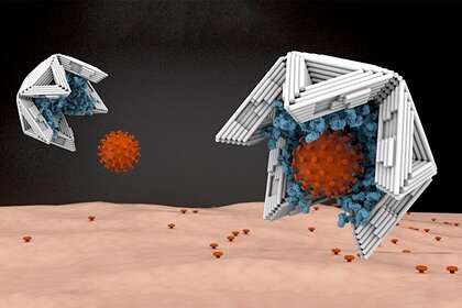 Ученые разработали нанокапсулы, которые захватывают и нейтрализуют вирусы