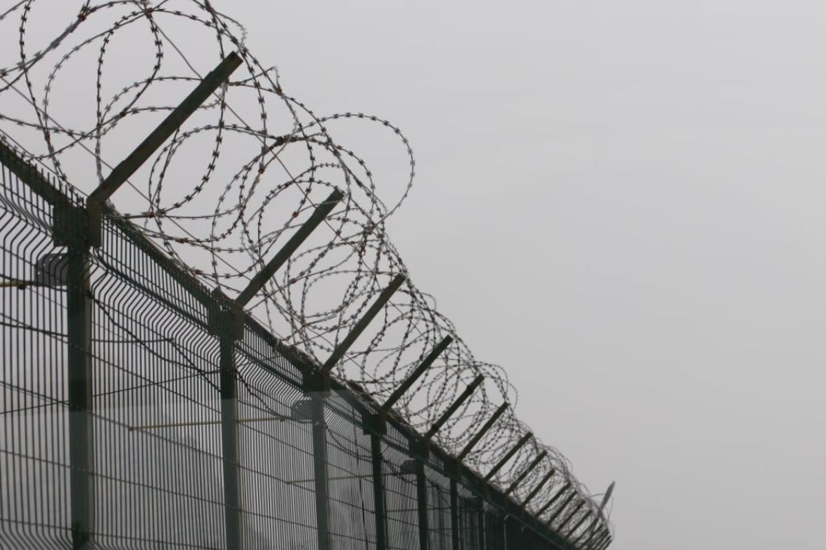 Узбекистан ратифицировал договор с Венгрией о выдаче