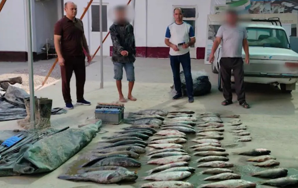В Сырдарье браконьеры незаконно ловили рыбу: ущерб составил почти 1 млрд сумов