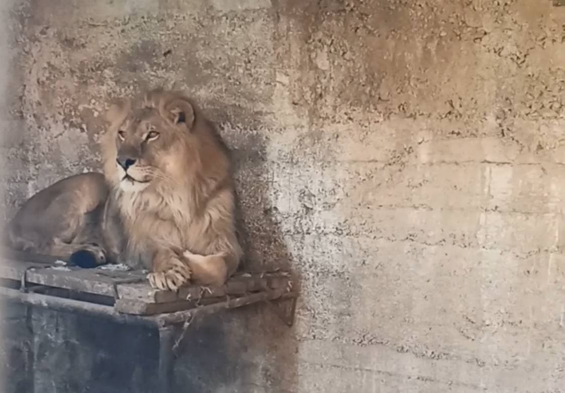 Домашнее порно и любительский и частный секс на камеру