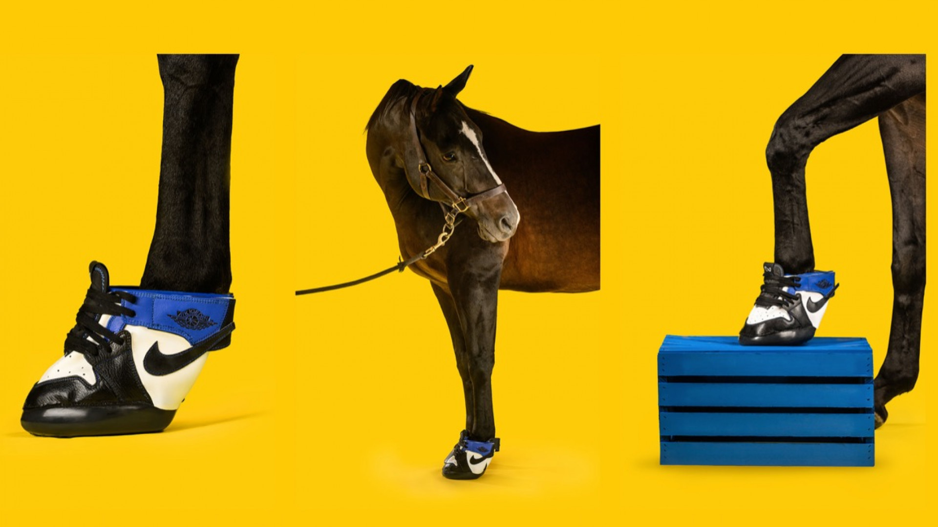 Дизайнеры создали кроссовки для лошадей за $1200