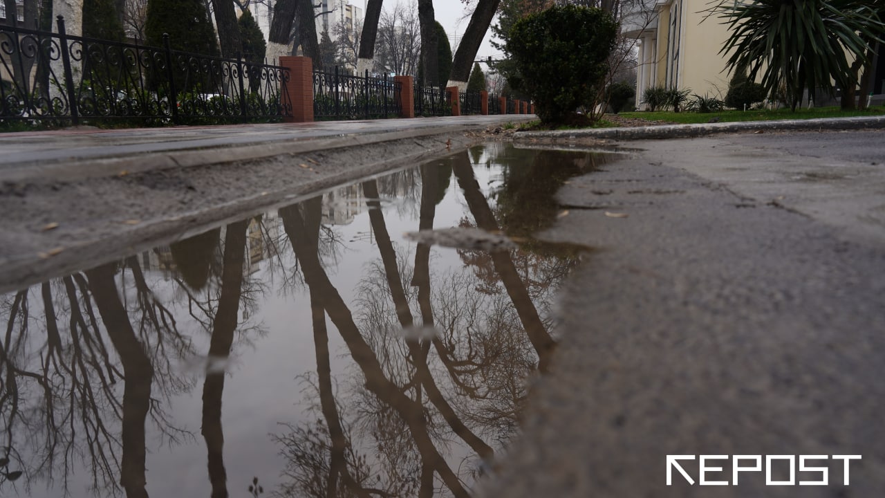 Узбекистанцев ожидает легкое похолодание и дожди — прогноз погоды