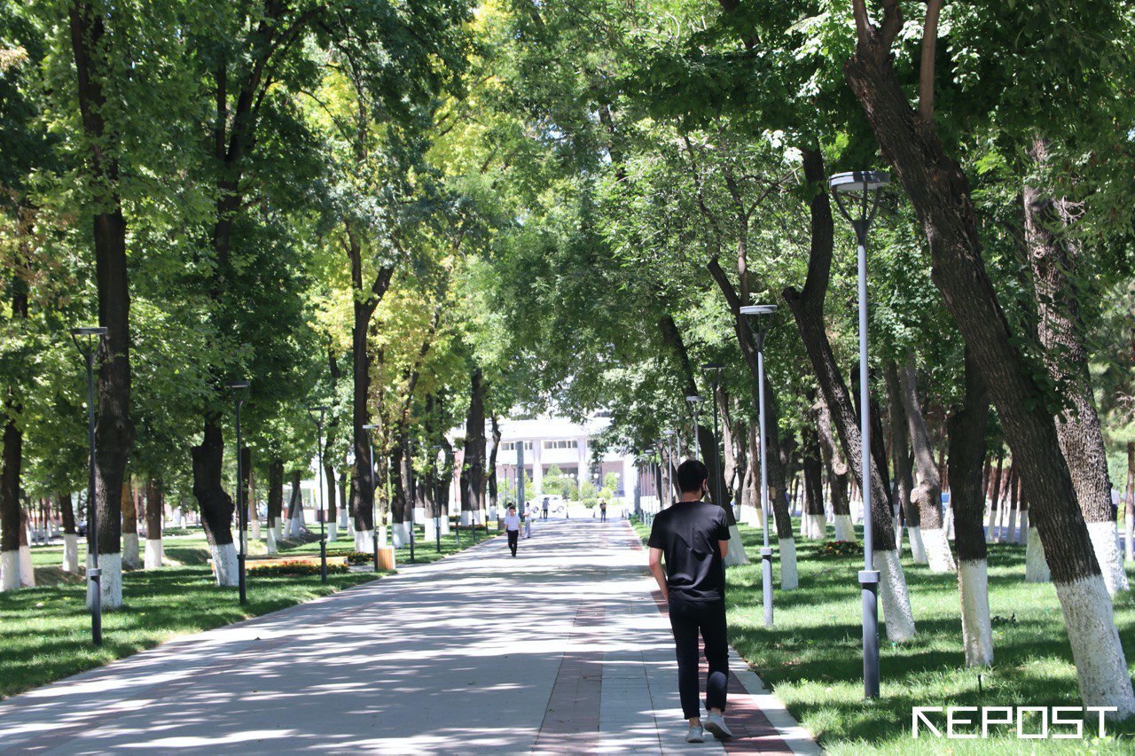 Воздух в Ташкенте на 12 августа: уровень загрязнения превысил норму в пять раз