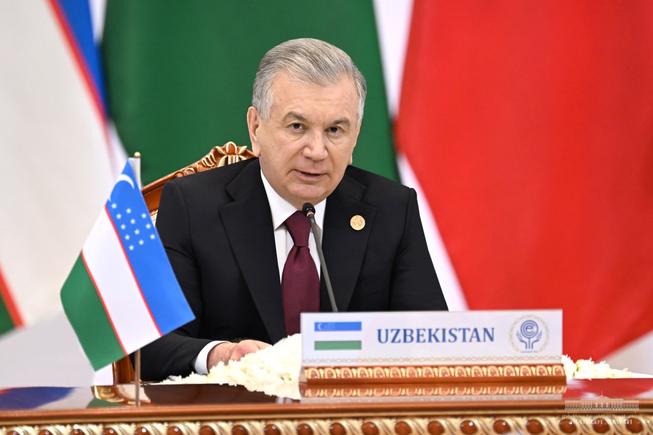 Шавкат Мирзиёев выступил на саммите ОЭС — что предложил президент