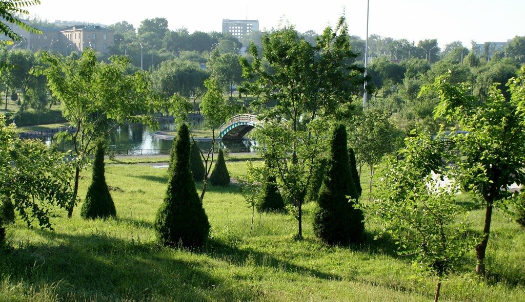 Ташкент озеленится 