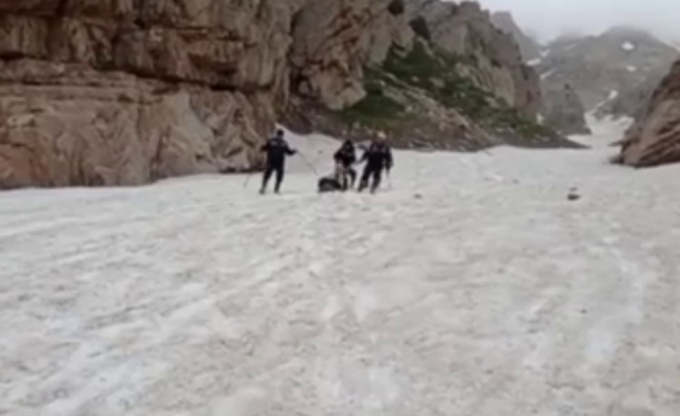 Специалисты спасли туристов, заблудившихся в горах Чимгана (видео)