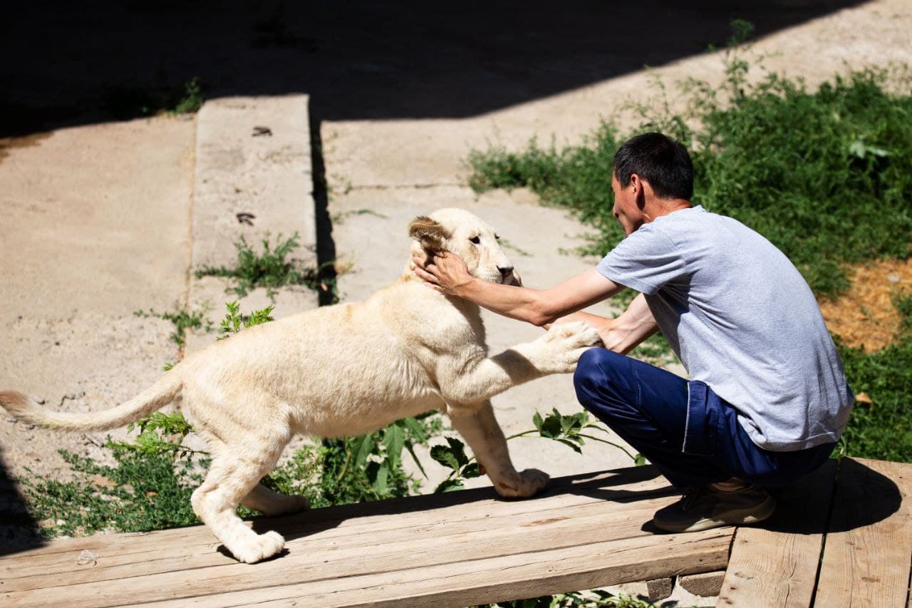 Фото: Пресс-служба зоопарка Ташкента