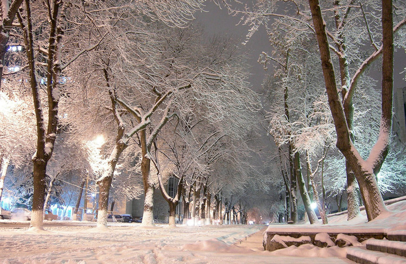 В Узбекистан вернется зима