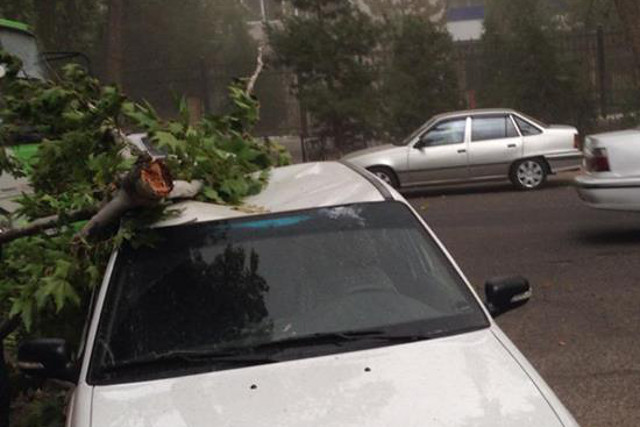 Ташкентцев экстренно предупредили о сильном ветре и дожде