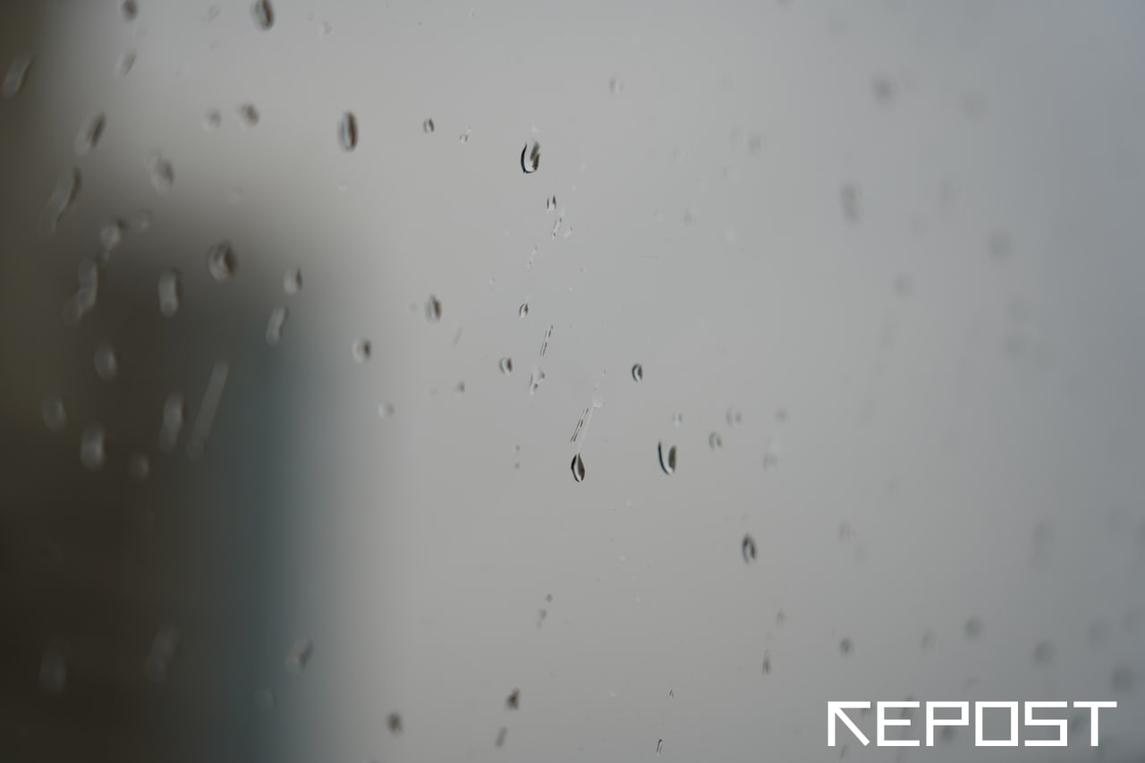 Дождь - последние новости от команды Repost.uz