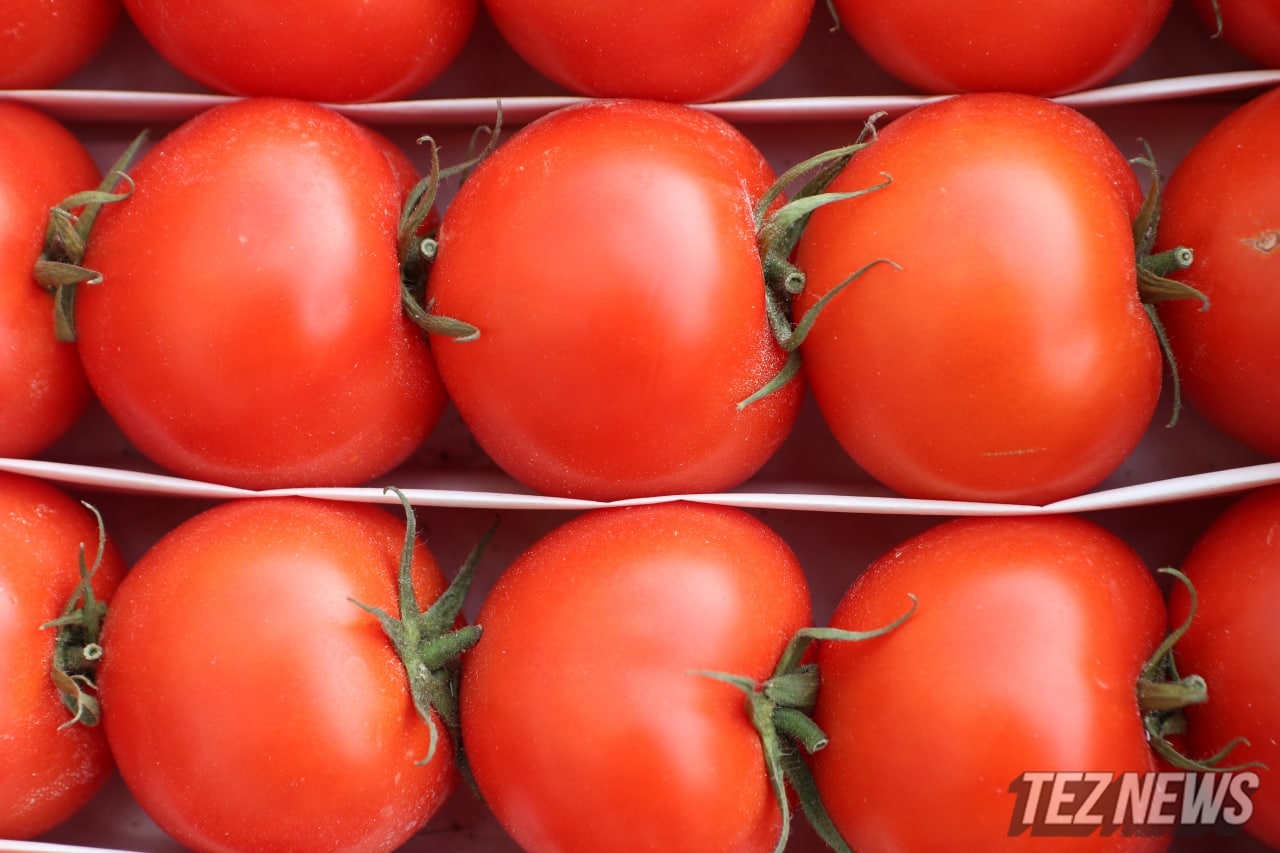 В Узбекистане рекордно подорожали помидоры