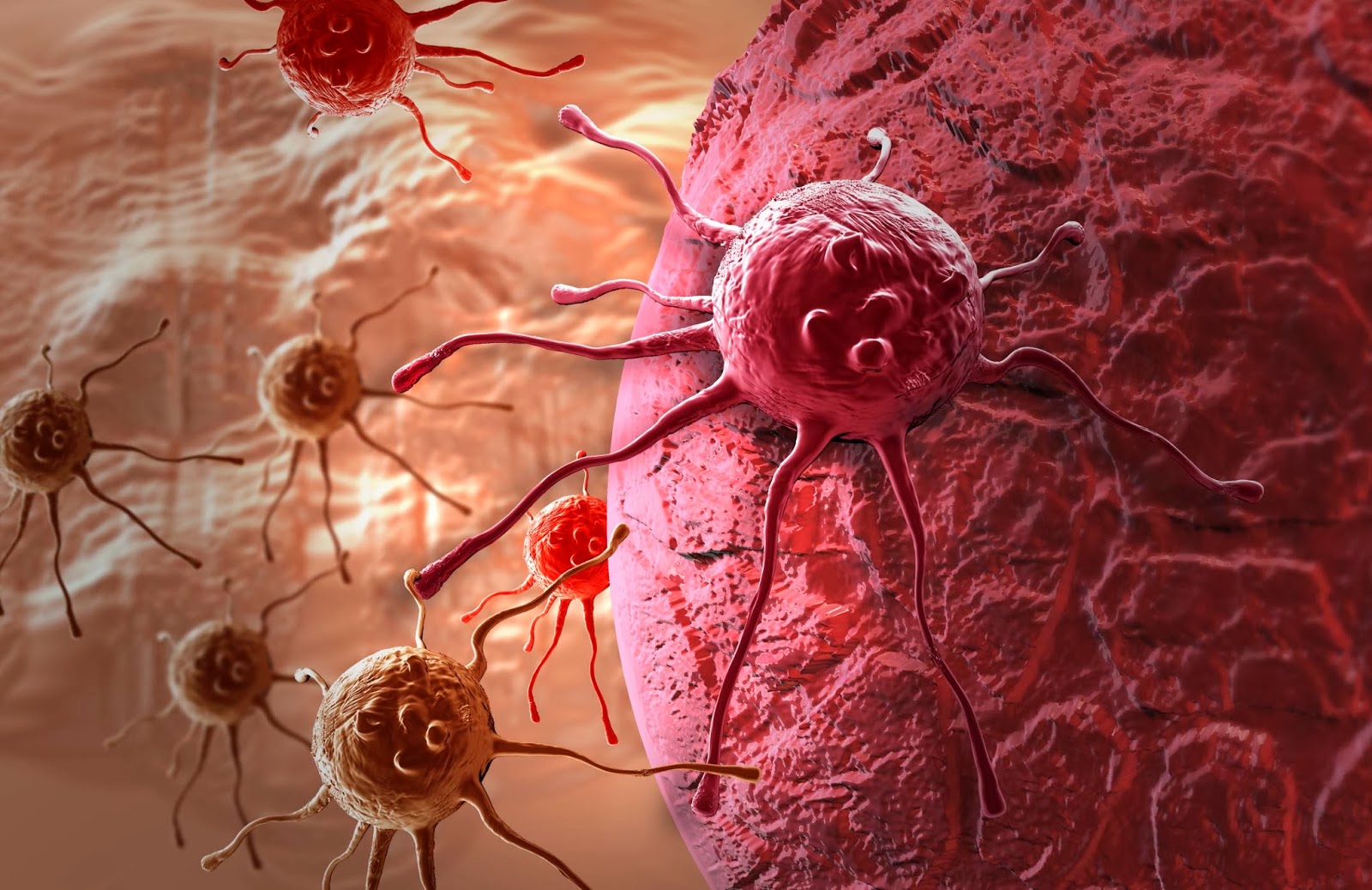 Ученые обнаружили в кишечнике человека защиту от рака