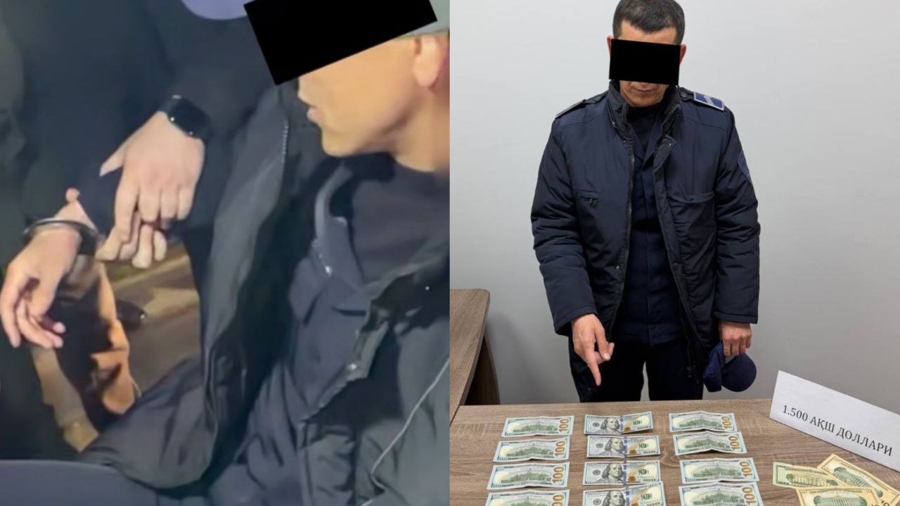 МЧС - последние новости от команды Repost.uz