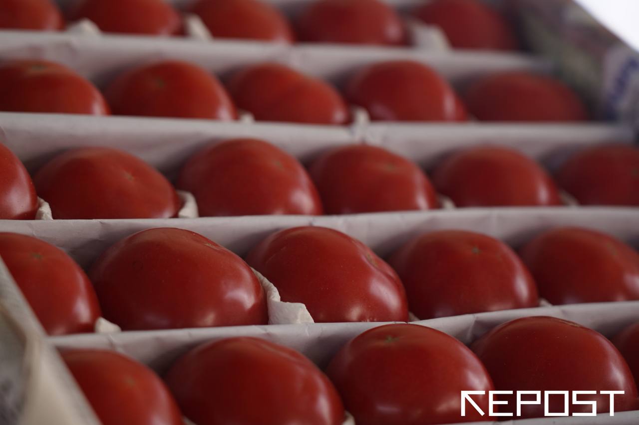 Эксперты зафиксировали резкий рост цен на помидоры в Узбекистане