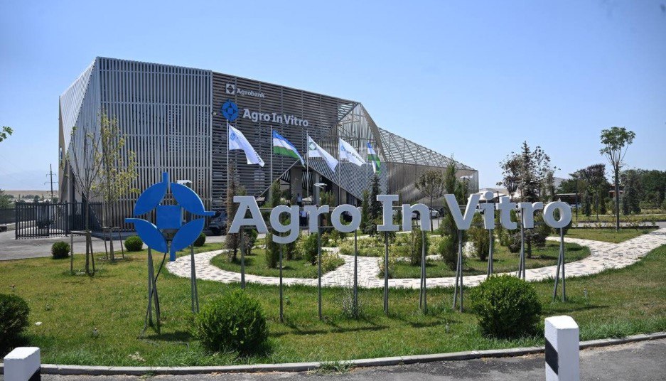 AgroInVitro: новая технология выращивания саженцев внедрена в Узбекистане