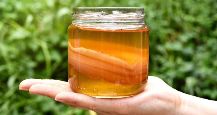 Чайный гриб очищает воду лучше, чем любые фильтры – исследование