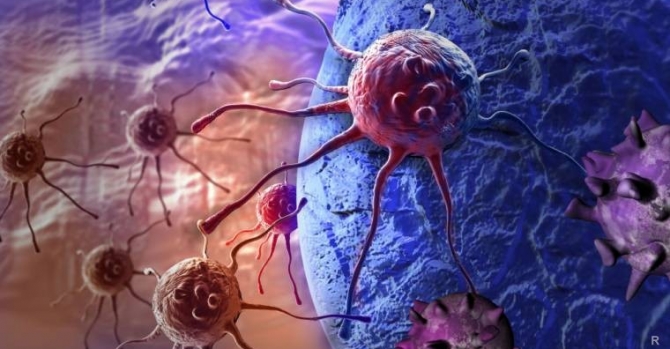 Ученые: организм сам начнет вырабатывать лекарство против рака