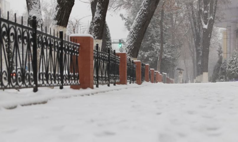 Туман, снег и мороз: синоптики рассказали, какой погоды стоит ждать узбекистанцам в начале следующей недели