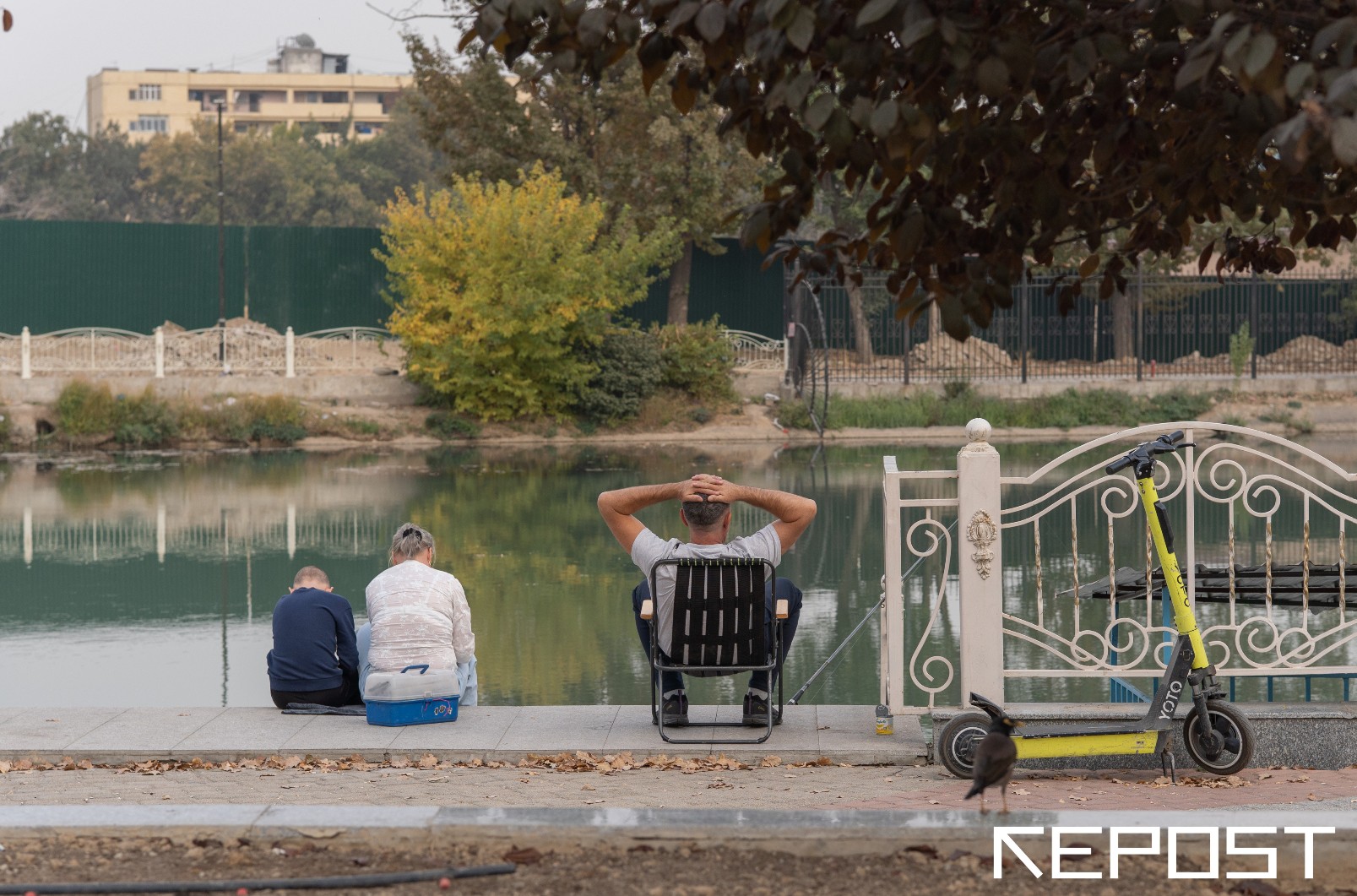 В Узбекистане вводится временный запрет на вылов рыбы