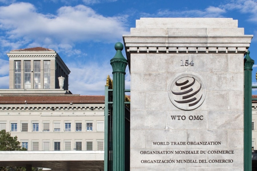 На пост генерального директора ВТО претендуют представители восьми стран